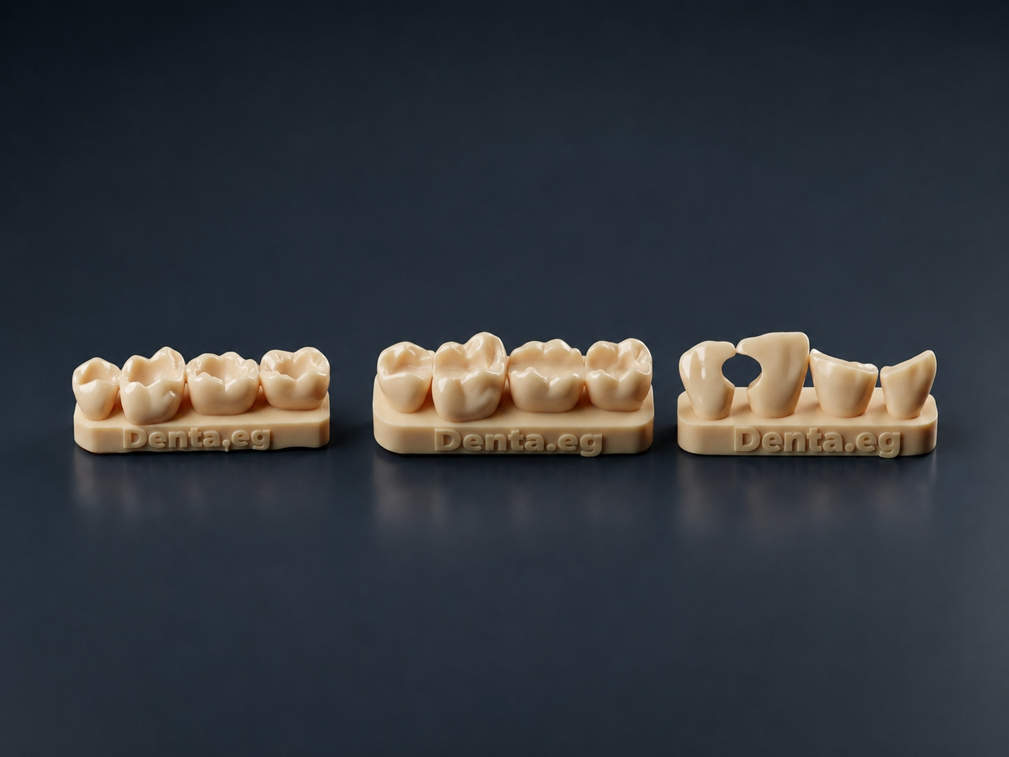 Denta composite training kit (all classes)
