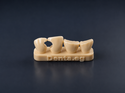Denta composite training kit (all classes)