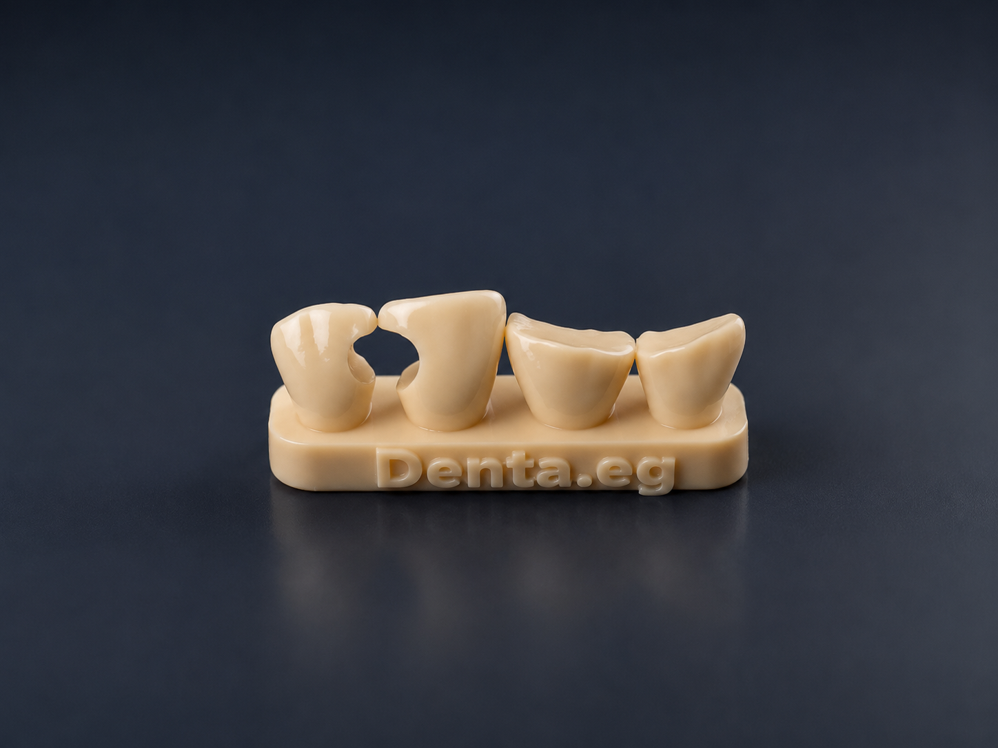 Denta composite training kit (class3&4)