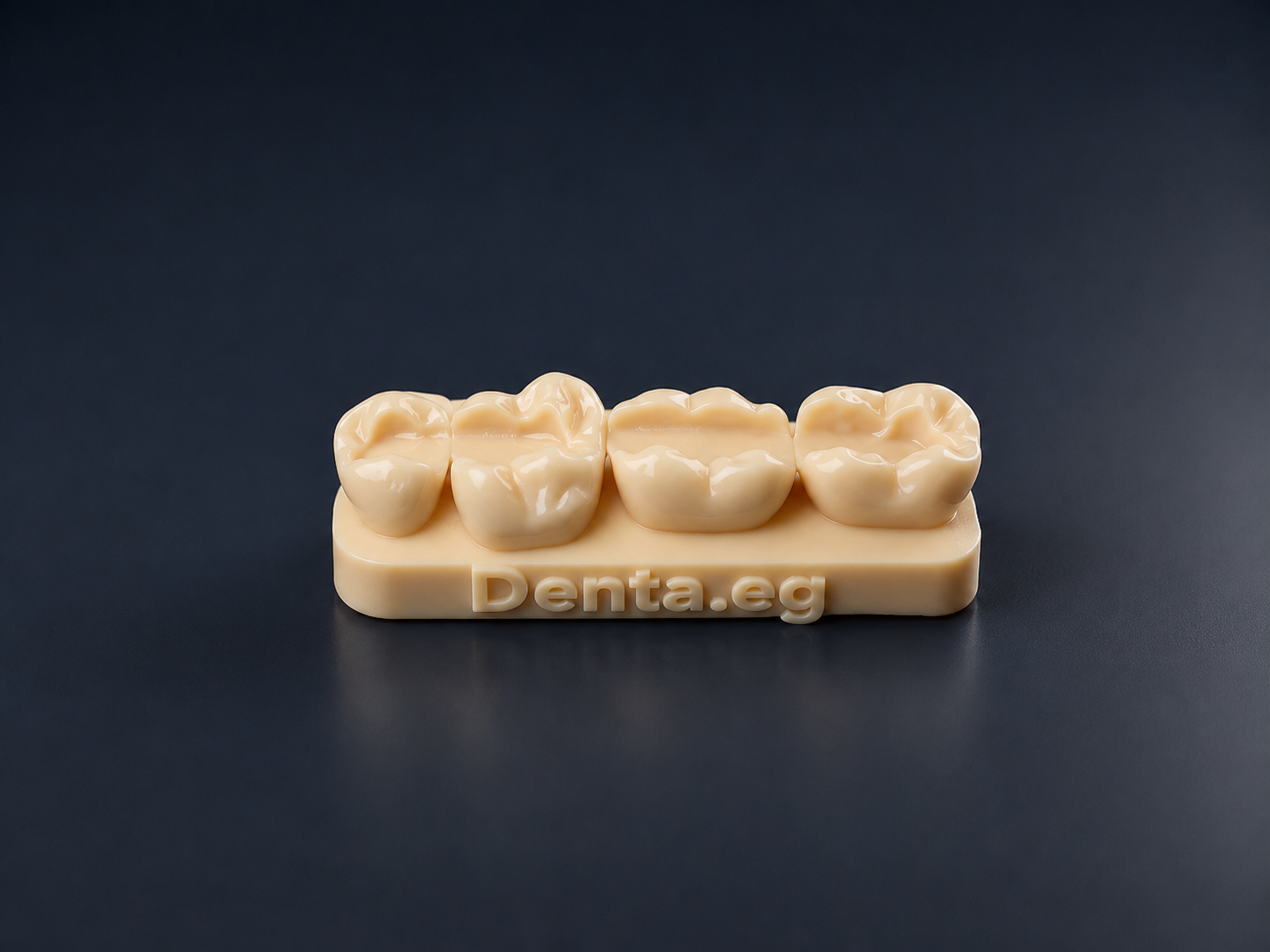 Denta composite training kit (all classes)