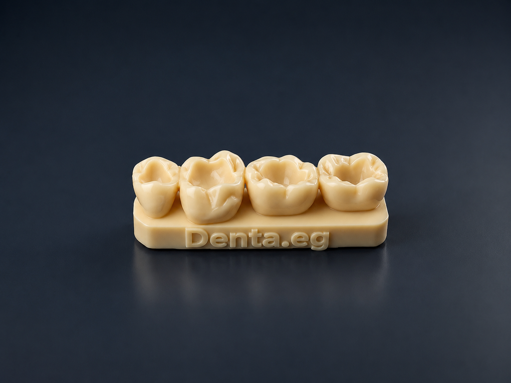 Denta composite training kit (all classes)